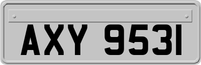 AXY9531