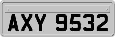 AXY9532