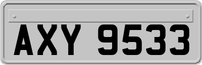 AXY9533