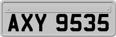 AXY9535