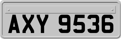 AXY9536