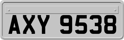 AXY9538