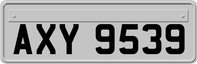 AXY9539