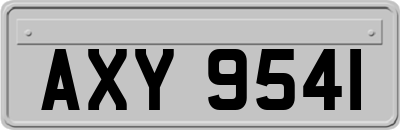 AXY9541