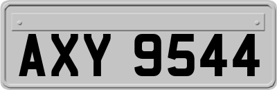 AXY9544
