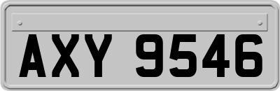 AXY9546
