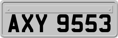 AXY9553