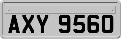 AXY9560
