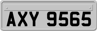 AXY9565