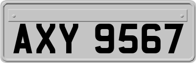 AXY9567