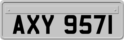 AXY9571