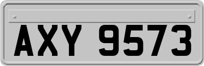 AXY9573