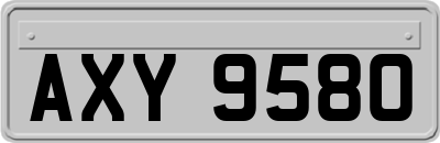 AXY9580