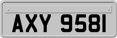 AXY9581