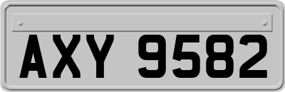 AXY9582