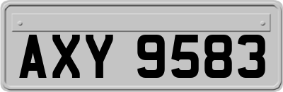 AXY9583