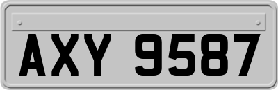 AXY9587