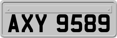 AXY9589