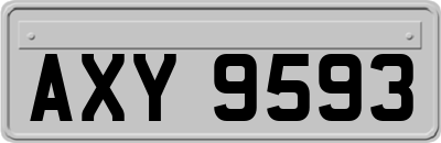 AXY9593