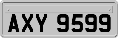 AXY9599
