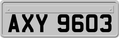 AXY9603