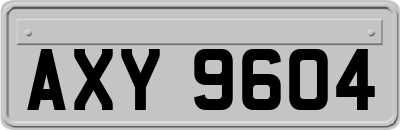 AXY9604