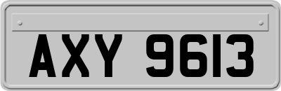 AXY9613