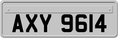 AXY9614