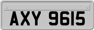 AXY9615