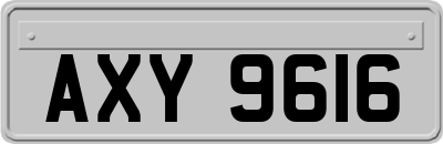 AXY9616