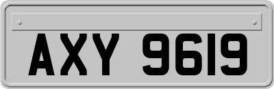 AXY9619