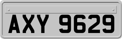 AXY9629