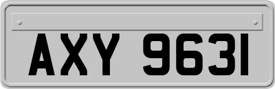 AXY9631