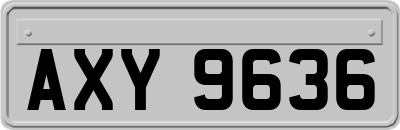 AXY9636