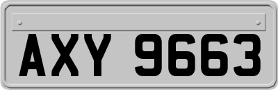 AXY9663