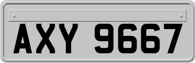 AXY9667