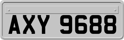 AXY9688