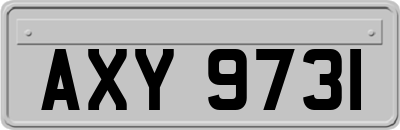 AXY9731