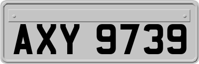 AXY9739