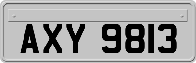 AXY9813