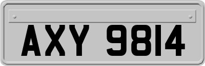 AXY9814