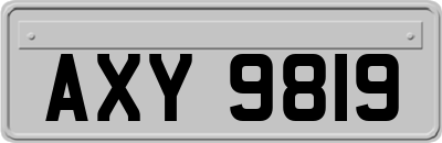 AXY9819
