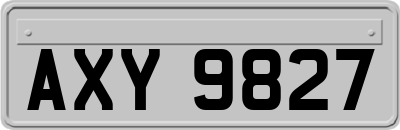 AXY9827