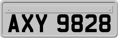 AXY9828