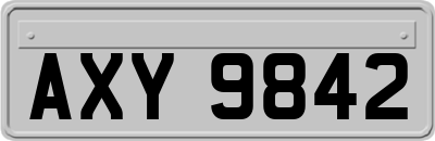 AXY9842