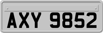 AXY9852