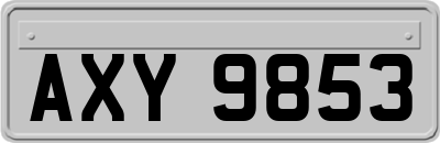 AXY9853