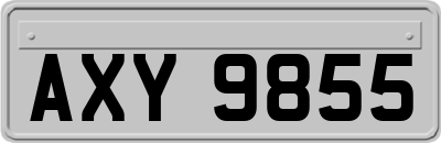 AXY9855