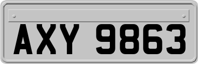 AXY9863