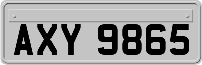 AXY9865
